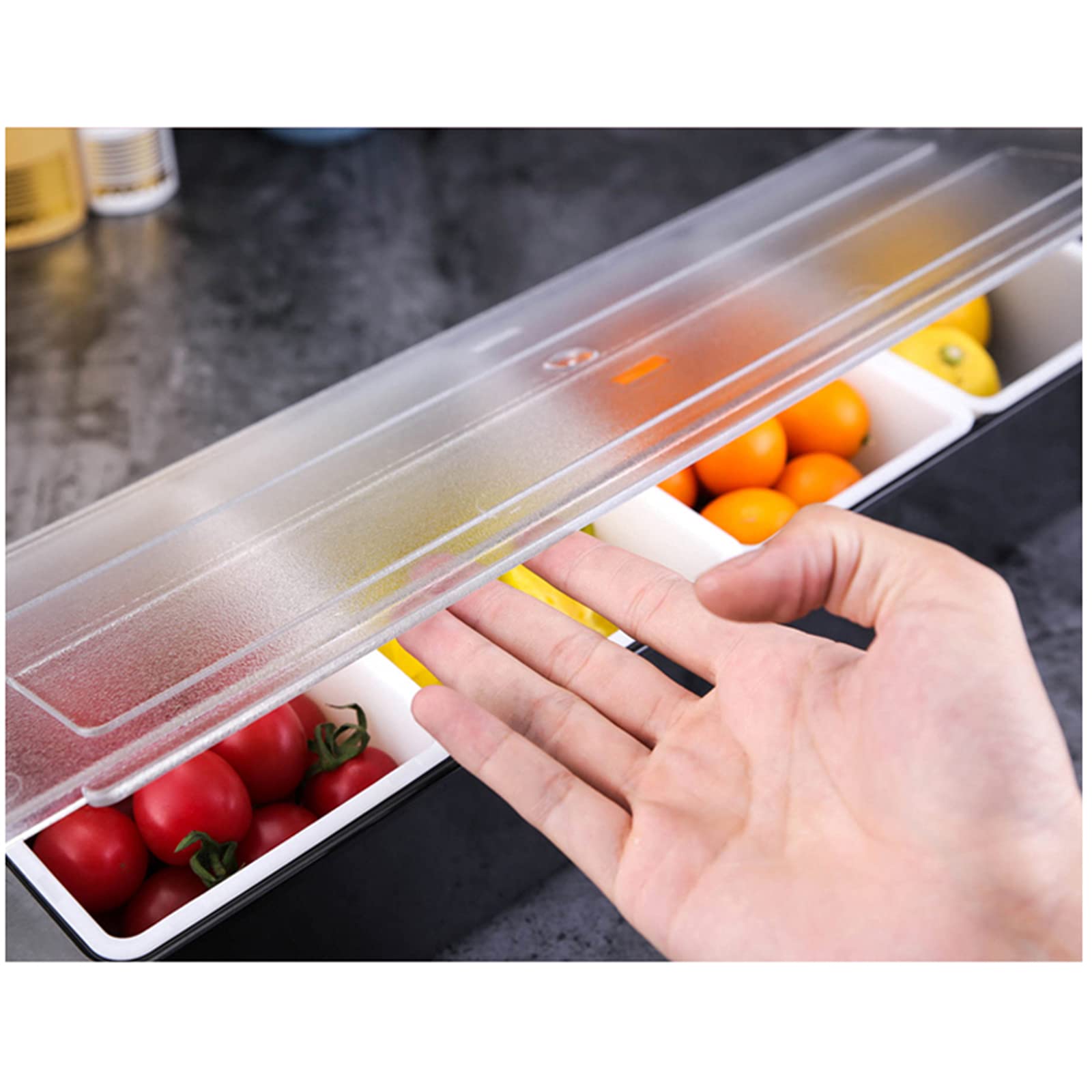 Contenitore per ingredienti in acciaio inox, 5 griglie, contenitore per spezie, contenitore per ingredienti, contenitore per spezie, con coperchio in plastica trasparente e rimovibile