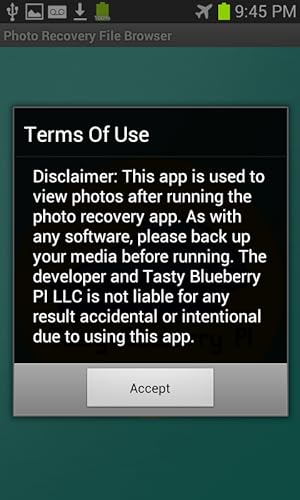 Tasty Blueberry Pi Q.R.S.TWO Photo Recovery File Browser thumb #2