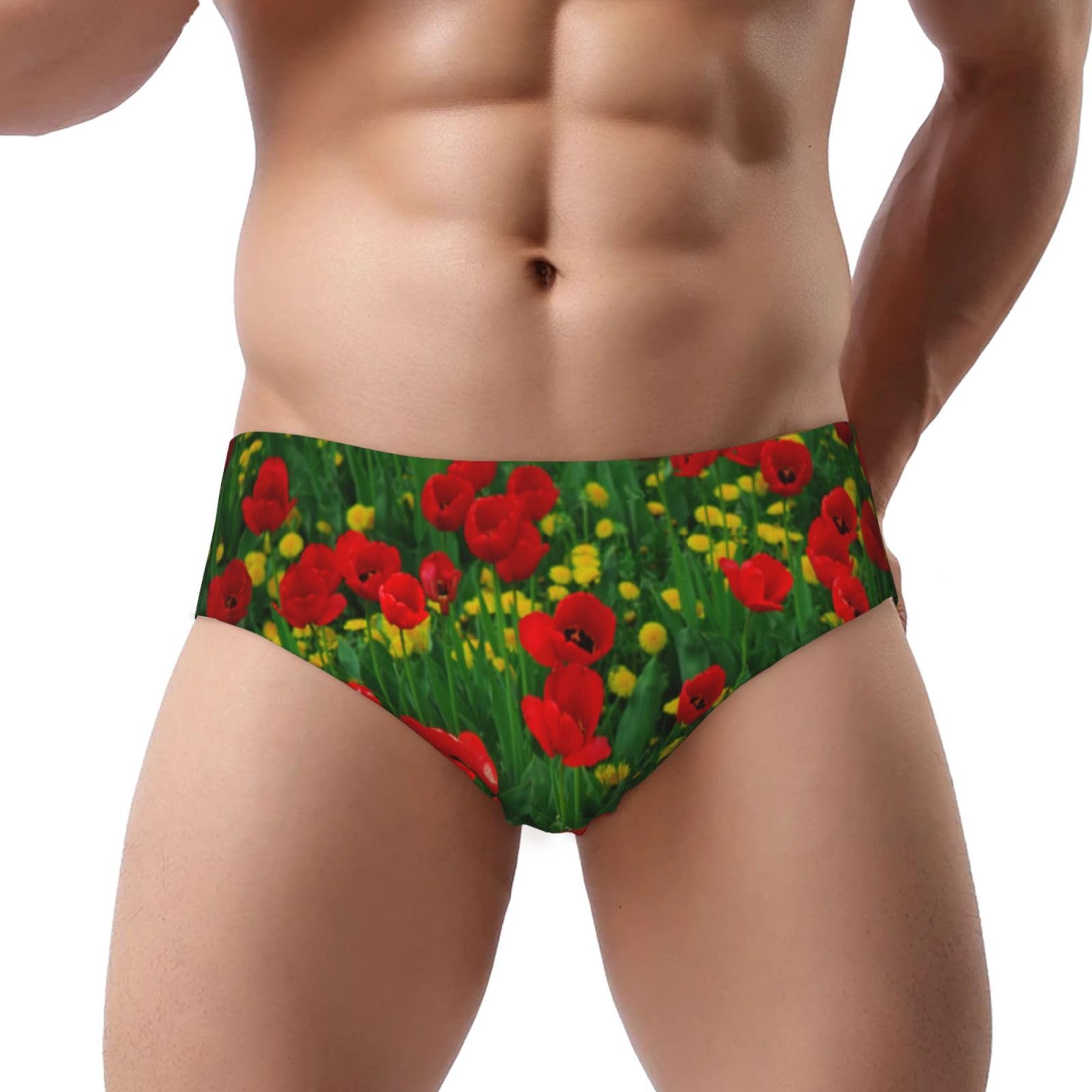 BYwenhopnbs Red Poppy Field Farm Meadow Landscape PrintMen's Briefs No Fly Underwear Support Pouch Comfort Soft Briefs for Men