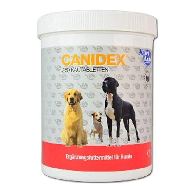 NutriLabs Canidex - Pastillas articulares para Perros, 250 Unidades, con MSM, ácido hialurónico, glucosamina…