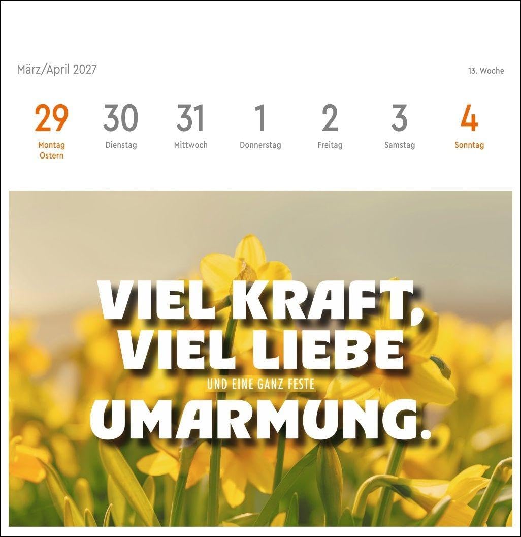 Visual Statements Premium-Postkartenkalender 2027: Woche für Woche motivierende Weisheiten und kluge Zitate zum Sammeln und Verschicken. Wochenkalender in modernem Typo Art-Design