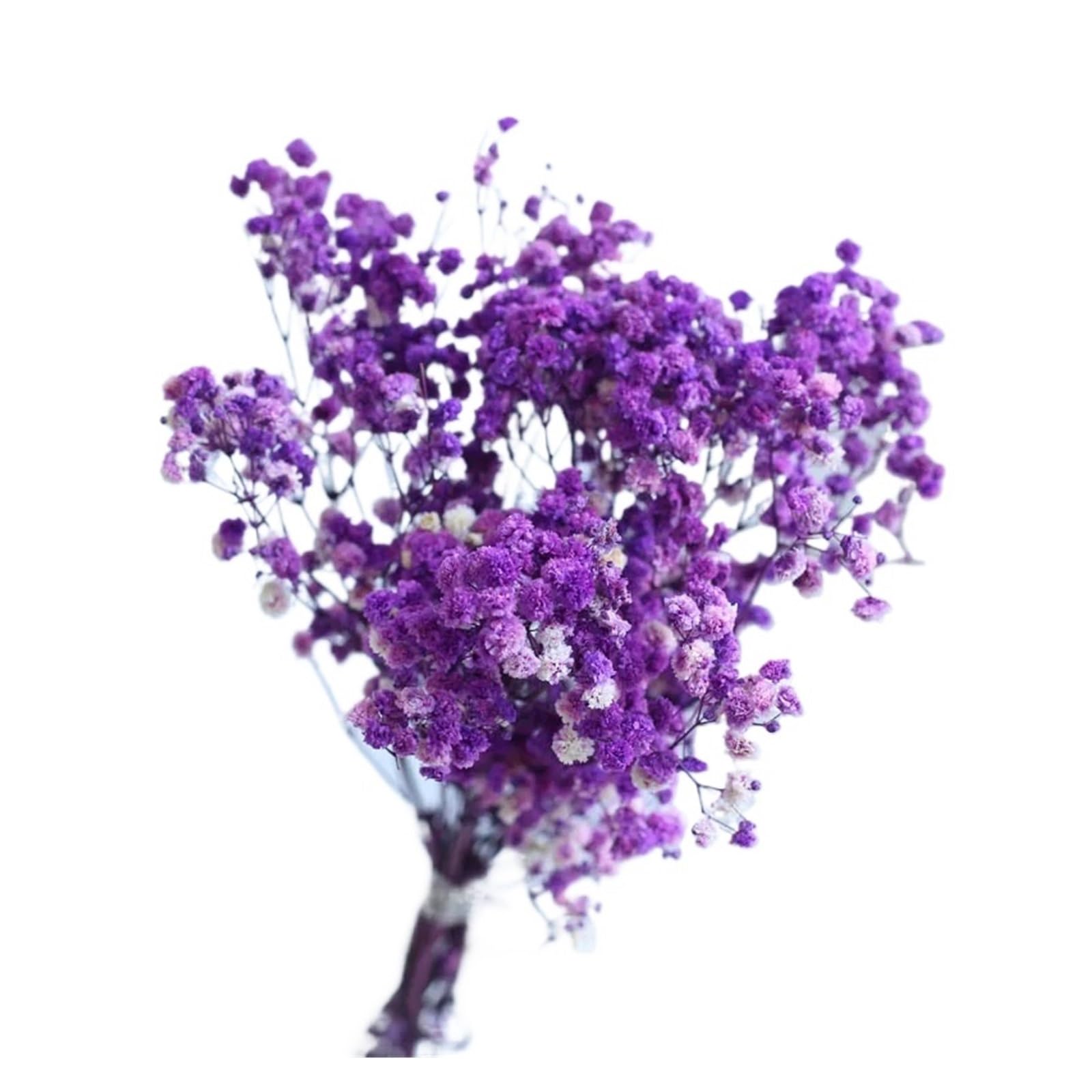 WJIAYAO dried gypsophila flowers 100g Preserved Baby Breath White Gypsophila Dried Flower Wedding Bouquet Decoration Home Vase Filler(Purple)