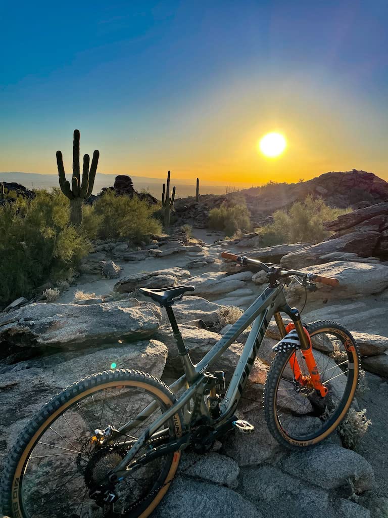 Amazon | セラサンマルコ（SELLE SAN MARCO） 自転車用サドル