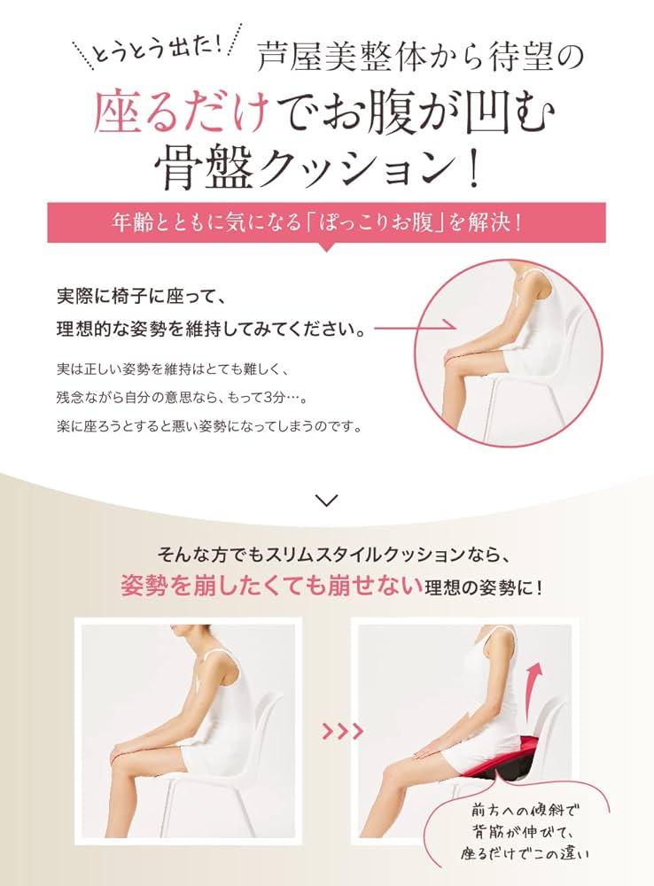 芦屋姿勢矯正クッション ブラウン 【公式通販】