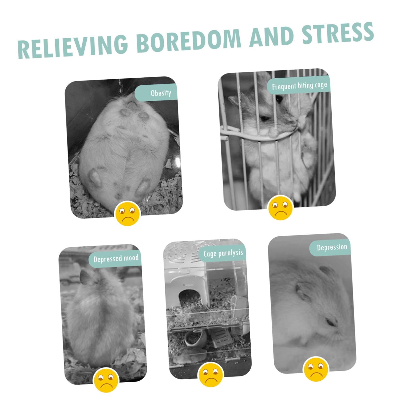 1ensemble Roue Exercice Silencieuse pour Hamster Accessoire pour Petits Animaux avec Support pour Gerbilles Et Hérissons Améliore Animaux De Compagnie