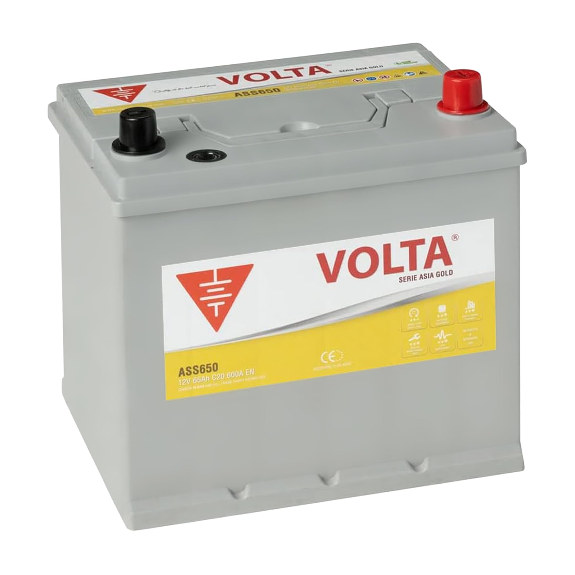Batería de Coche Start-Stop EFB 65Ah 600 AEN - Volta Gold Asia ASS650D - Sistema Start-Stop - Borne +Derecha - Medidas Largo 230 x Ancho 173 x Alto 225 mm con 2 Años Garantía - Fabricación Europea
