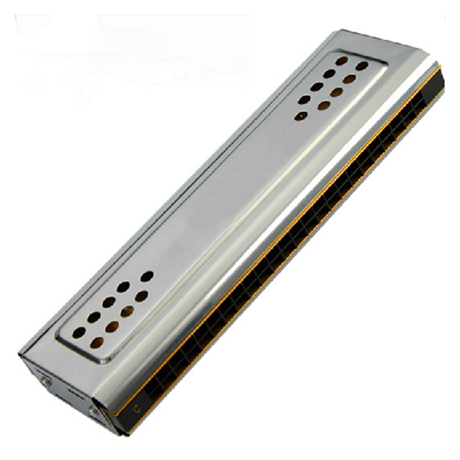 Mundharmonikas 24 Löcher Beide Mundharmonika CG-Taste Musikinstrumente Tremolo Mundharmonika