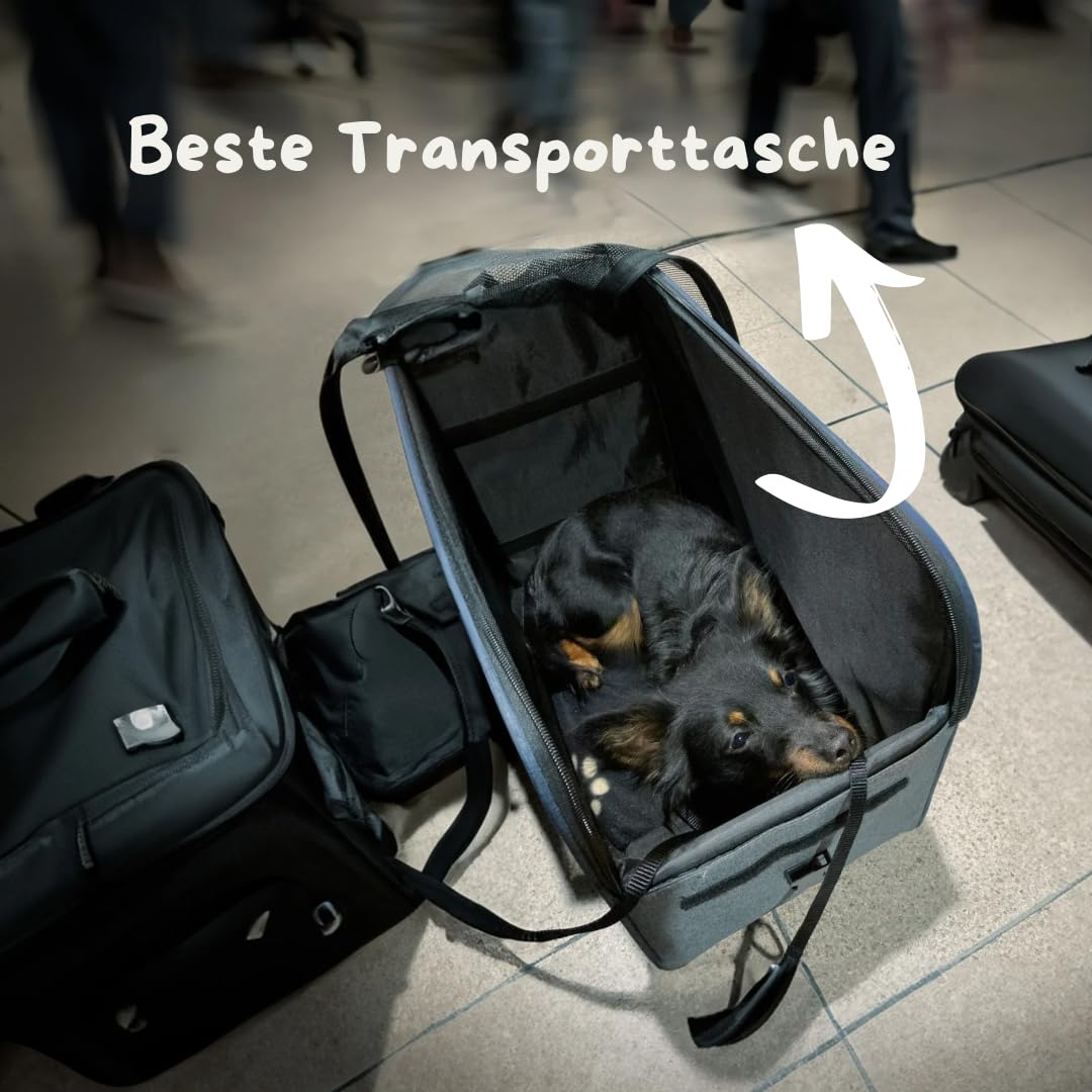 Annitaño Premium Hundeflugtasche 55x40x23 cm EUWI | Hundetasche Flugzeug & Reise wasserabweisend & belastbar bis 12 kg | stabile Hundetransporttasche mit Rucksackfunktion &Trolley-Befestigung
