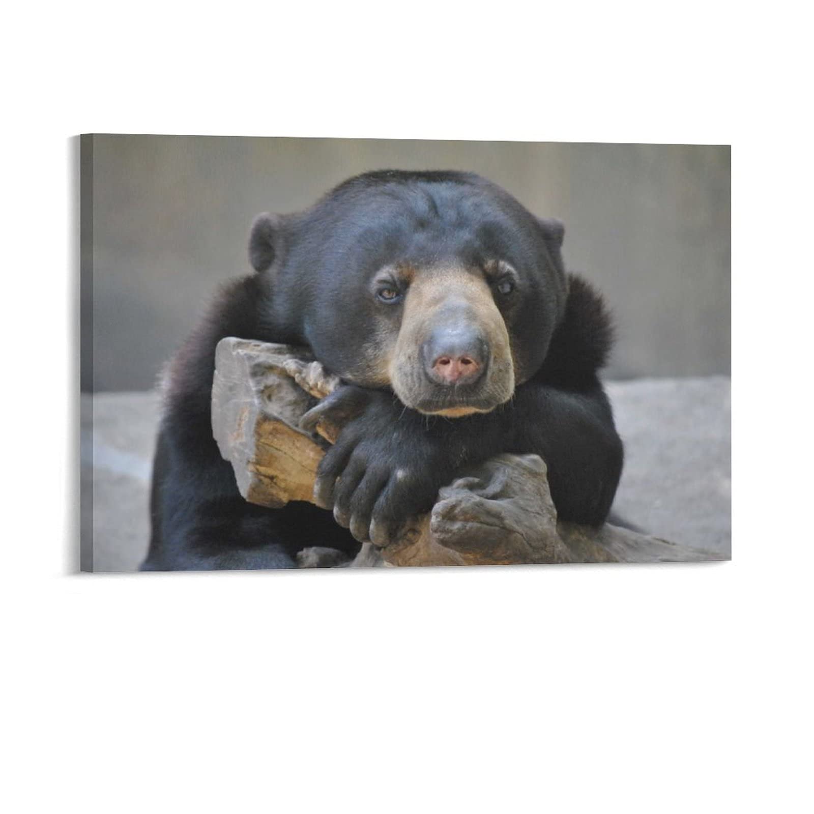 WAWSN Gulo Gulo Wild Animals Wolverines Mink Bear 46 Canvas Poster Wall Art Decor Print Picture Paintings for Living Room Bedroom Decoration 20x30inch(50x75cm)