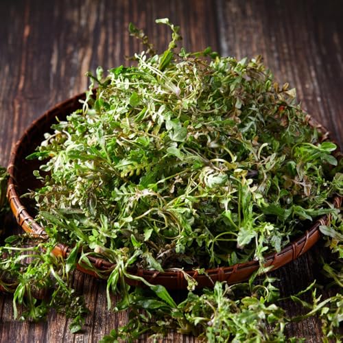 Semillas de bolsa de pastor - plantas de hortalizas, semillas para bancales elevados semillas de bolsa de pastor orgánicas camas elevadas para jardín semillas de hortalizas 100pcs