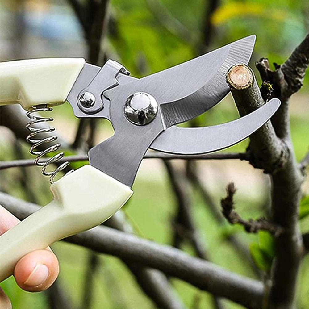 Strumento per innesto in Acciaio Inossidabile Cesoia per potatura da Giardinaggio Strumento per Rami Cesoia da Giardino Cesoie per potatura Multifunzione