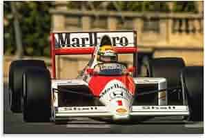 アイルトン・セナ特大ポスター(額入)AYRTON SENNA MEMORIAL アイルトン・セナ特大ポスター(額入)AYRTON SENNA MEMORIAL