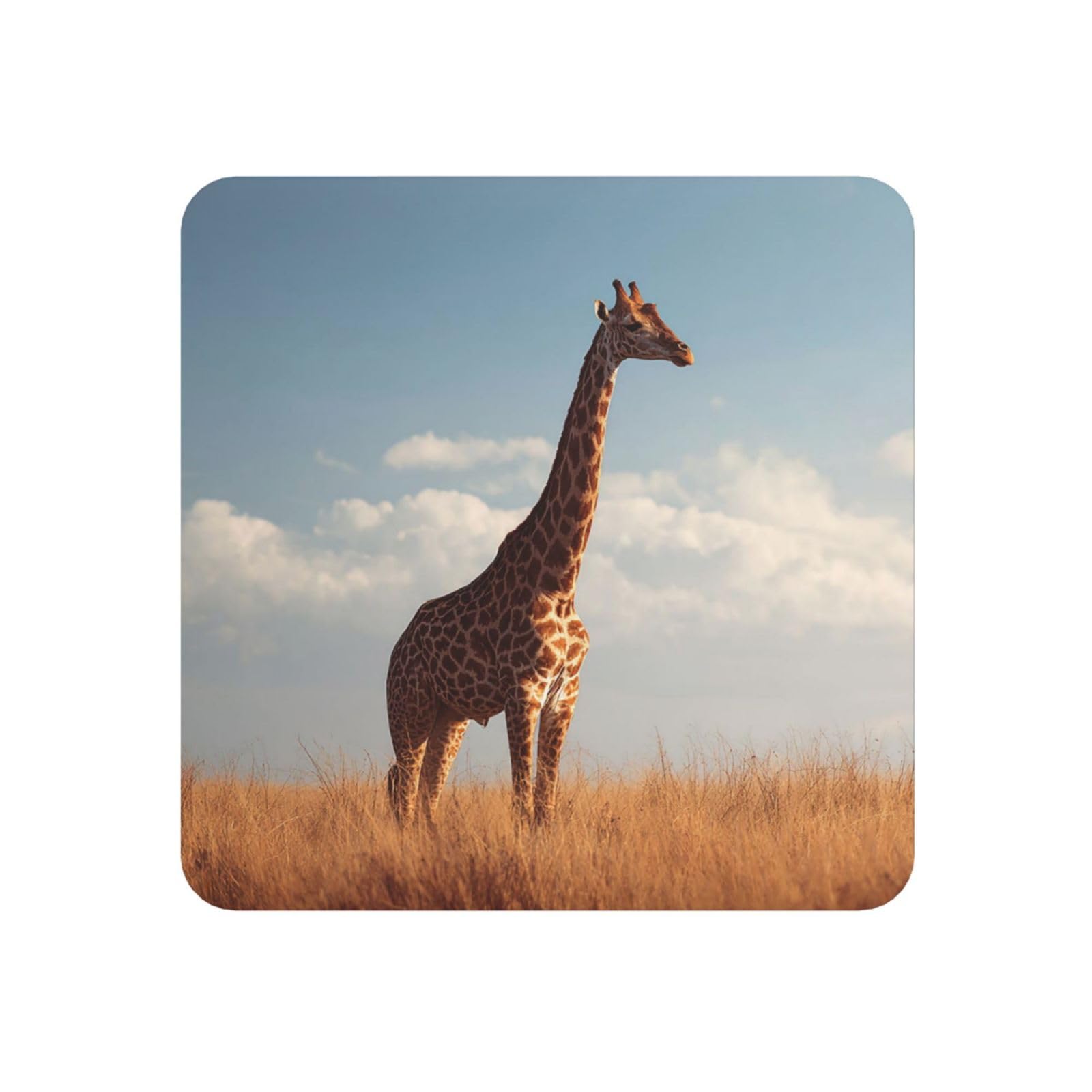 Fridge Magnets Waterproof Personalized Magnets for Fridge African Giraffe Refrigerator Magnets Home Decoration Magnetic Sticker for Locker Accessories Whiteboard Kitchen Office Decor