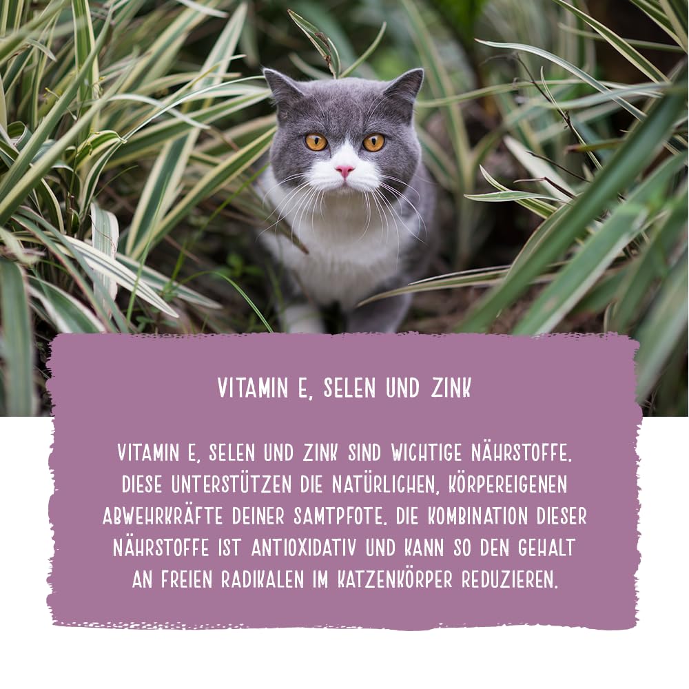 Chicopee Classic Nature Line | Senior Best Age | Katzenfutter trocken | Frisches Geflügel | Für ältere Katzen | Vitamine, Selen, Zink | Inspiriert von der Natur Kanadas | 15 kg