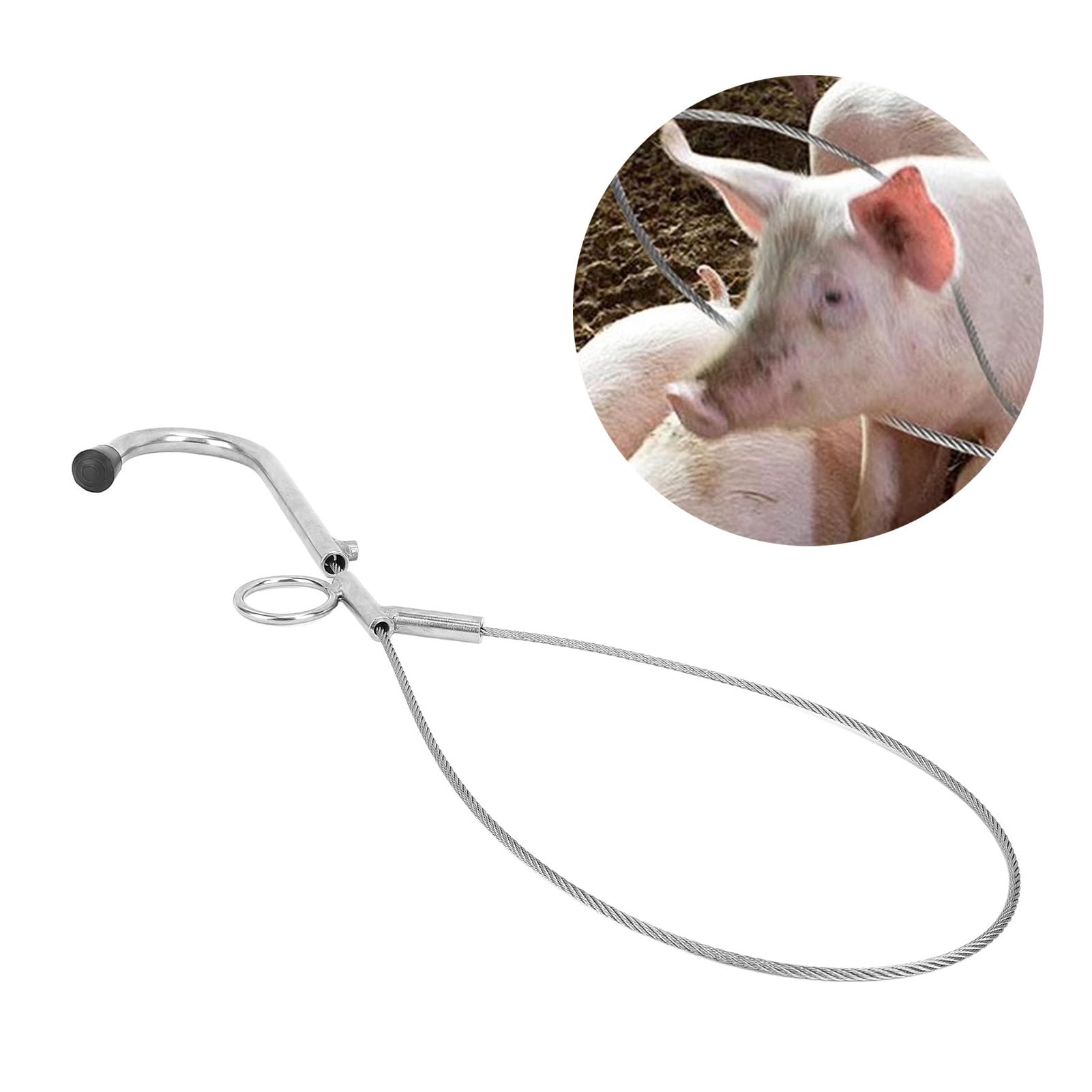 Poste Para Atrapar Cerdos Y Perros - Acero Inoxidable, Longitud Ajustable