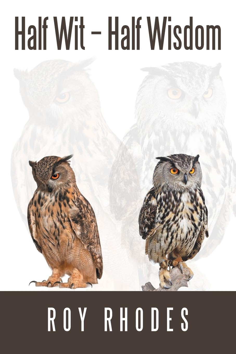 Half Wit – Half Wisdom