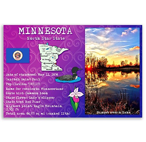 MINNESOTA STATE FACTS postcard set of 20 identical postcards. Post cards with MN facts and state symbols. Made in USA.