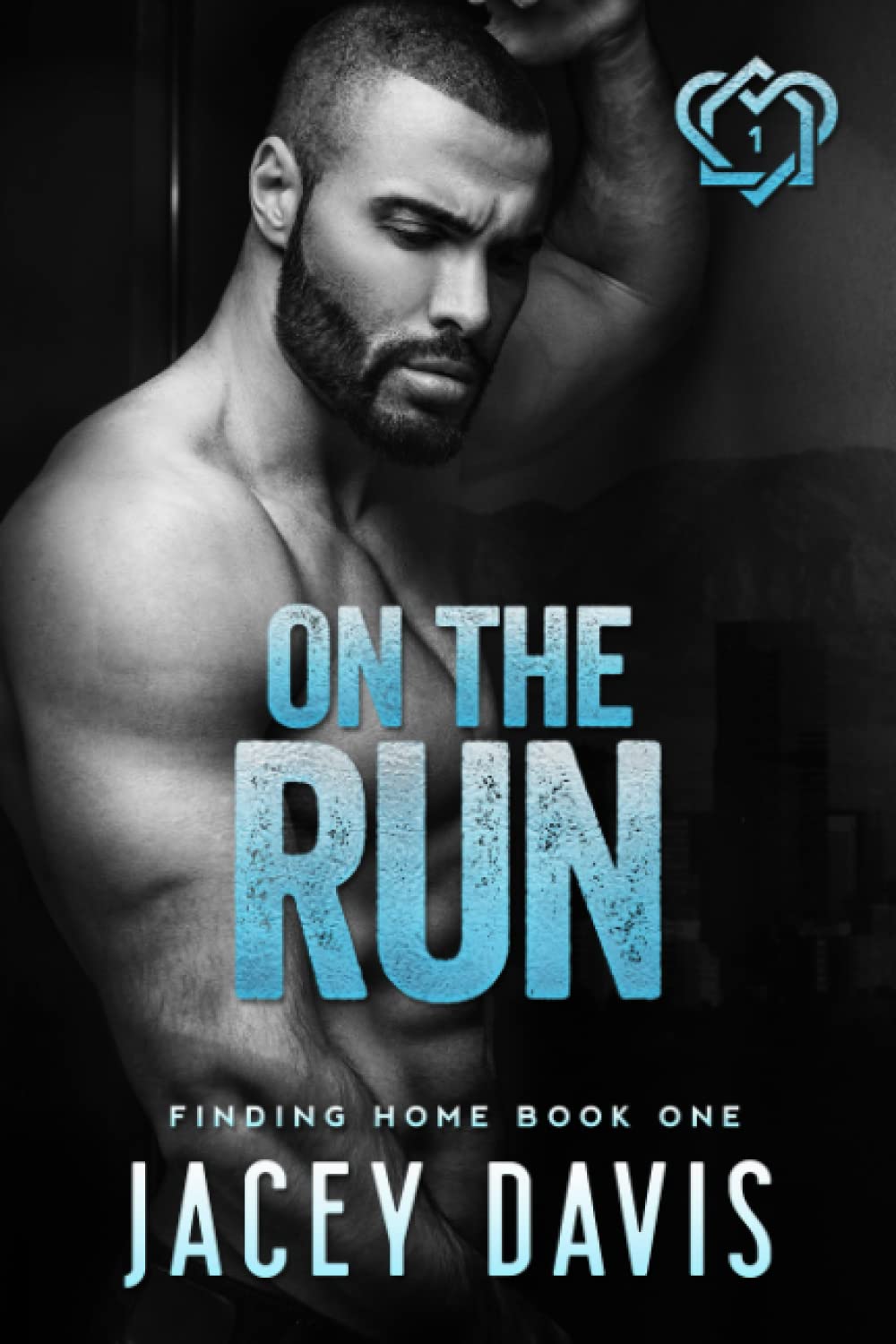 On The Run: Finding Home Book One: 1