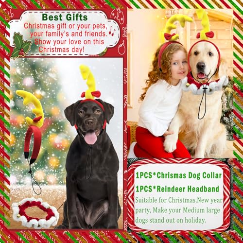 Disfraz Navideño para Perros 2 Piezas Set Reno y Collar miniatura 2
