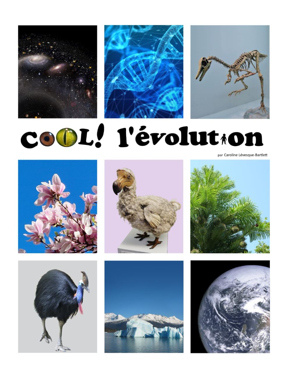 Cool! L'évolution