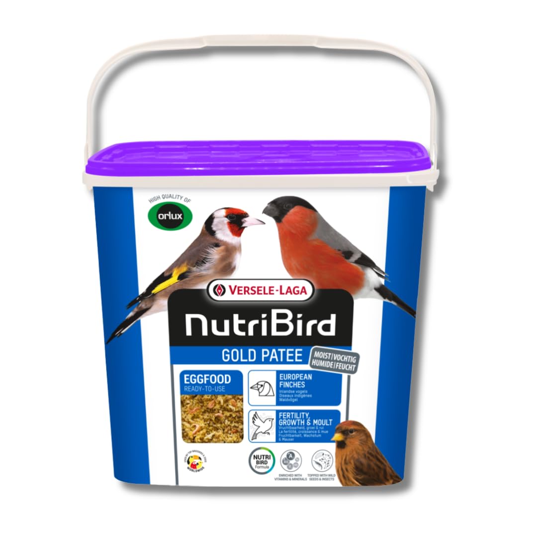Pâte d'élevage Orlux Gold Patee VERSELE LAGA pour Oiseaux Sauvages 5 kg