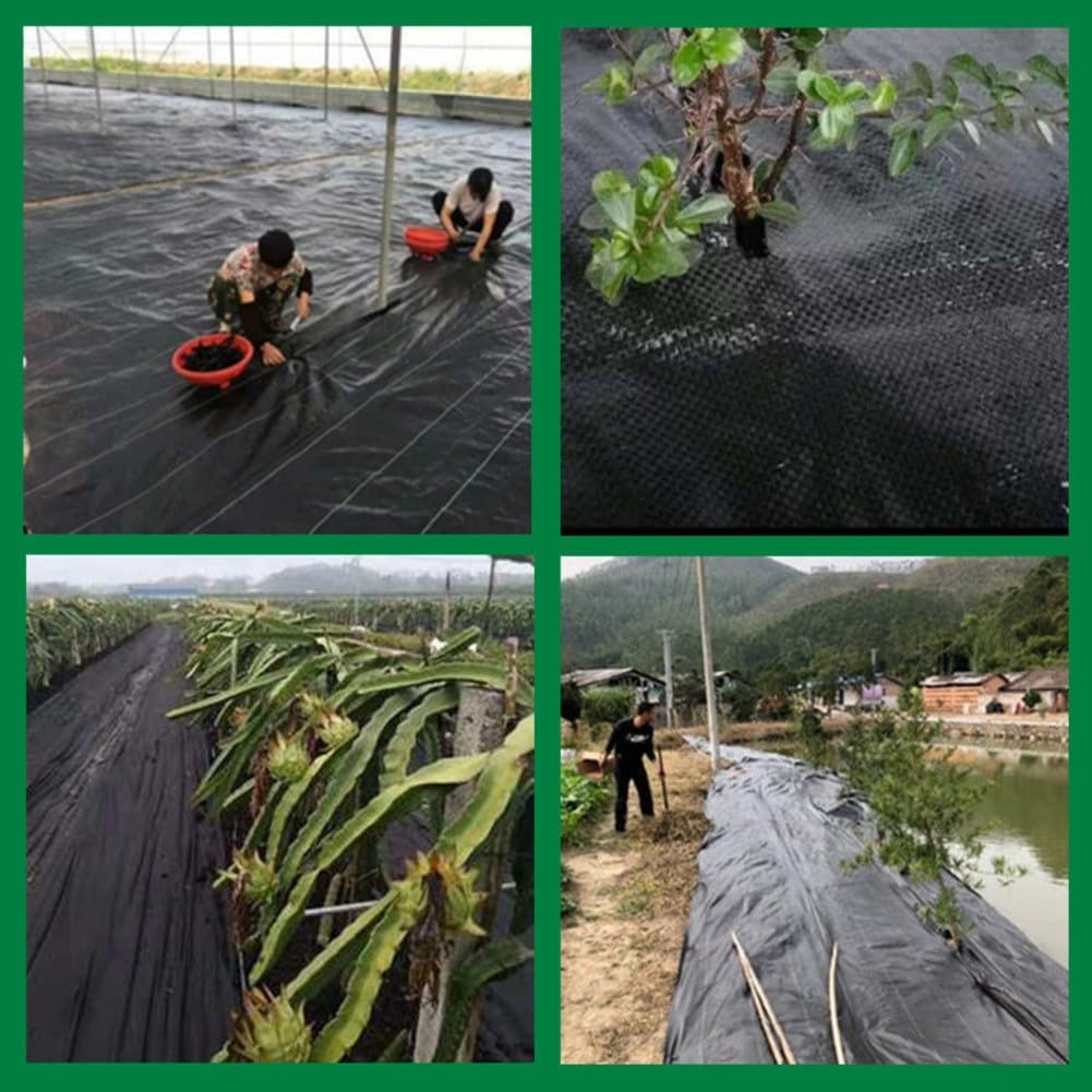 Tessuto Pacciamante PP 3x5M Strappi per giardino Tessuto Pacciamante(3 * 10M PP 70 g)