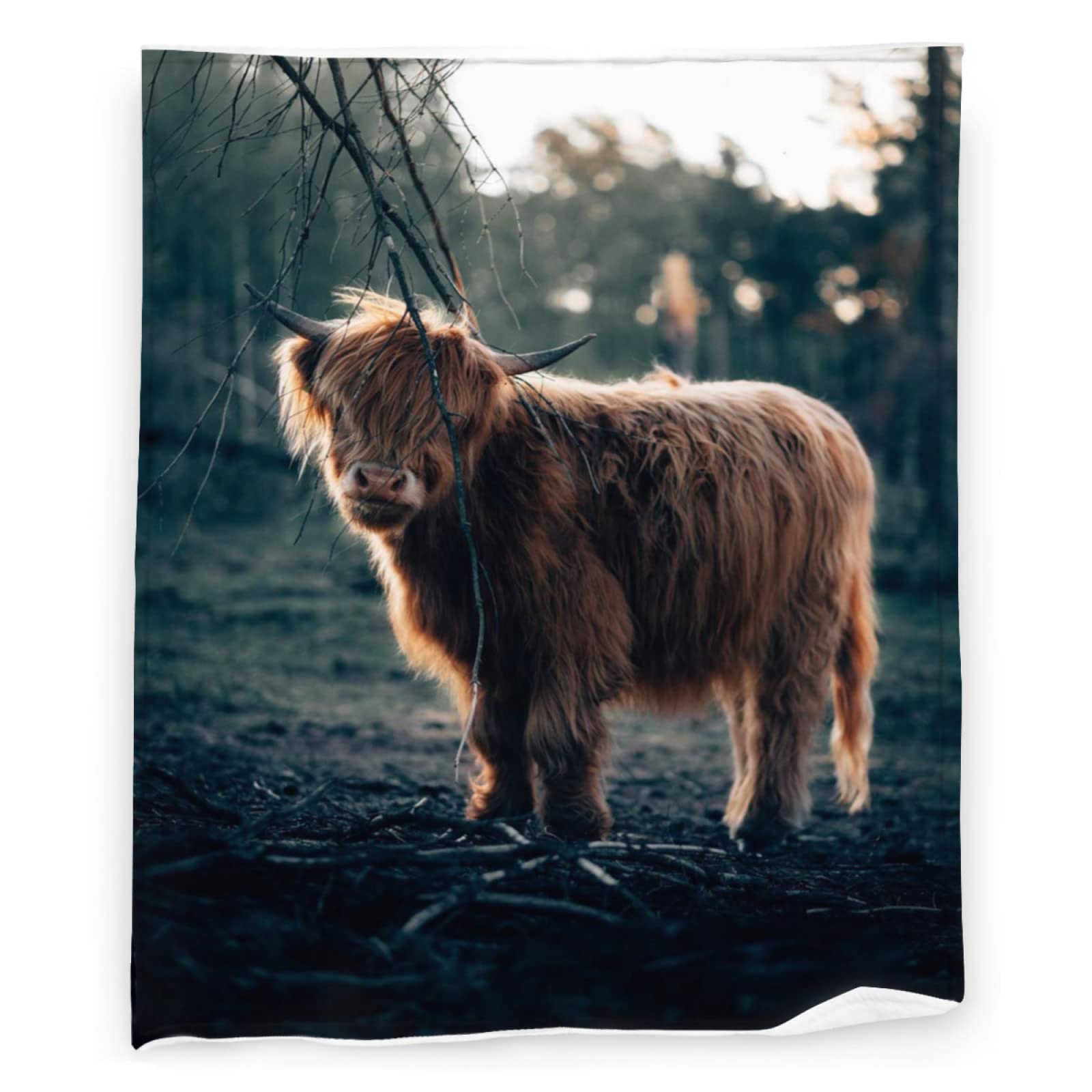 Highland-Kuh-Überwurfdecke Aus Flanell-Fleece – Weich, Warm, 127x102 Cm, Für Bett, Couch & Sofa, Perfekt Für Kinder