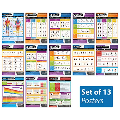 Muscle Building Exercises & Body Conditioning Fitness Posters - Set of 13 Gym Workout Charts | Laminated Gym Exercise Posters | Size - 594mm x 420mm (A2) | Video tutorials | Improves Personal Fitness