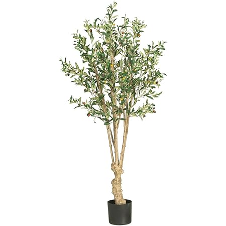Amazon Com Nearly Natural 5258 Olive Silk Tree 5 Feet Green 9 X 9 X 62 5 Home Kitchen