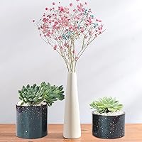 Vista 4 de FineInno 3 moldes de resina para macetas, moldes de silicona para jarrón redondo grande, molde de maceta de hormigón para macetas suculentas, molde