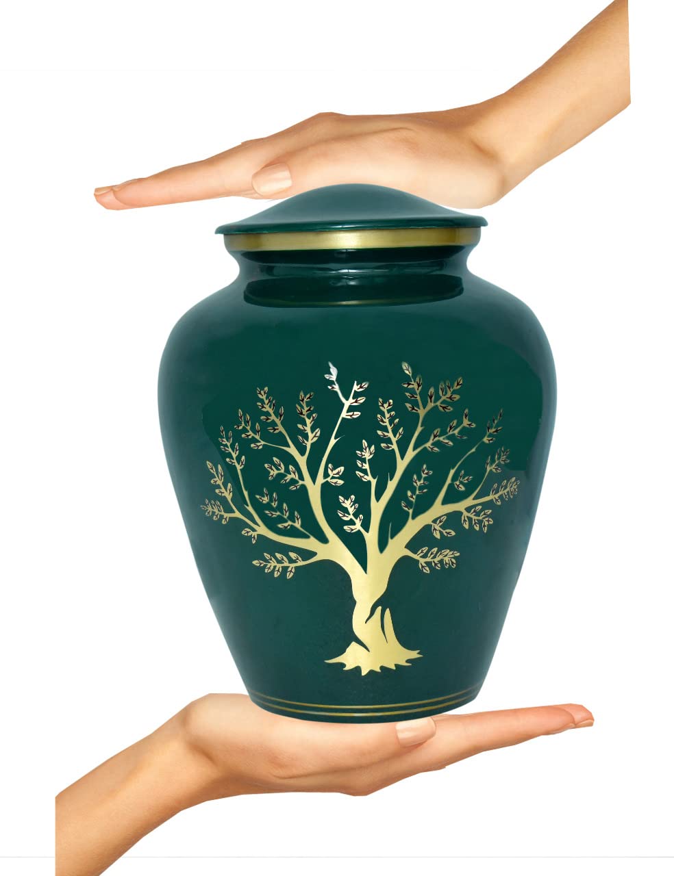 Bold & Divine Urna de cremación Impresa del árbol de la Vida | Grande | 200 Pulgadas cúbicas | Urna Conmemorativa de Cenizas humanas para Adultos, urna Conmemorativa para entierro, urna de cremación