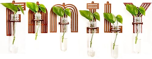 Family Letter Wall Propagation Planters Test Tubes Wall Decor for Hanging Plants