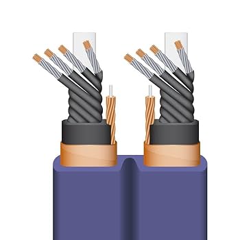 Amazon | WIREWORLD Aurora 7 パワーコンディショニングコード