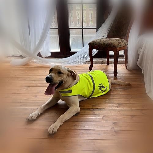 Miniatura 9 de Chaleco reflectante para perro, chaleco naranja de alta visibilidad, chaleco de seguridad para perros para caminar, trotar o entrenar, talla S