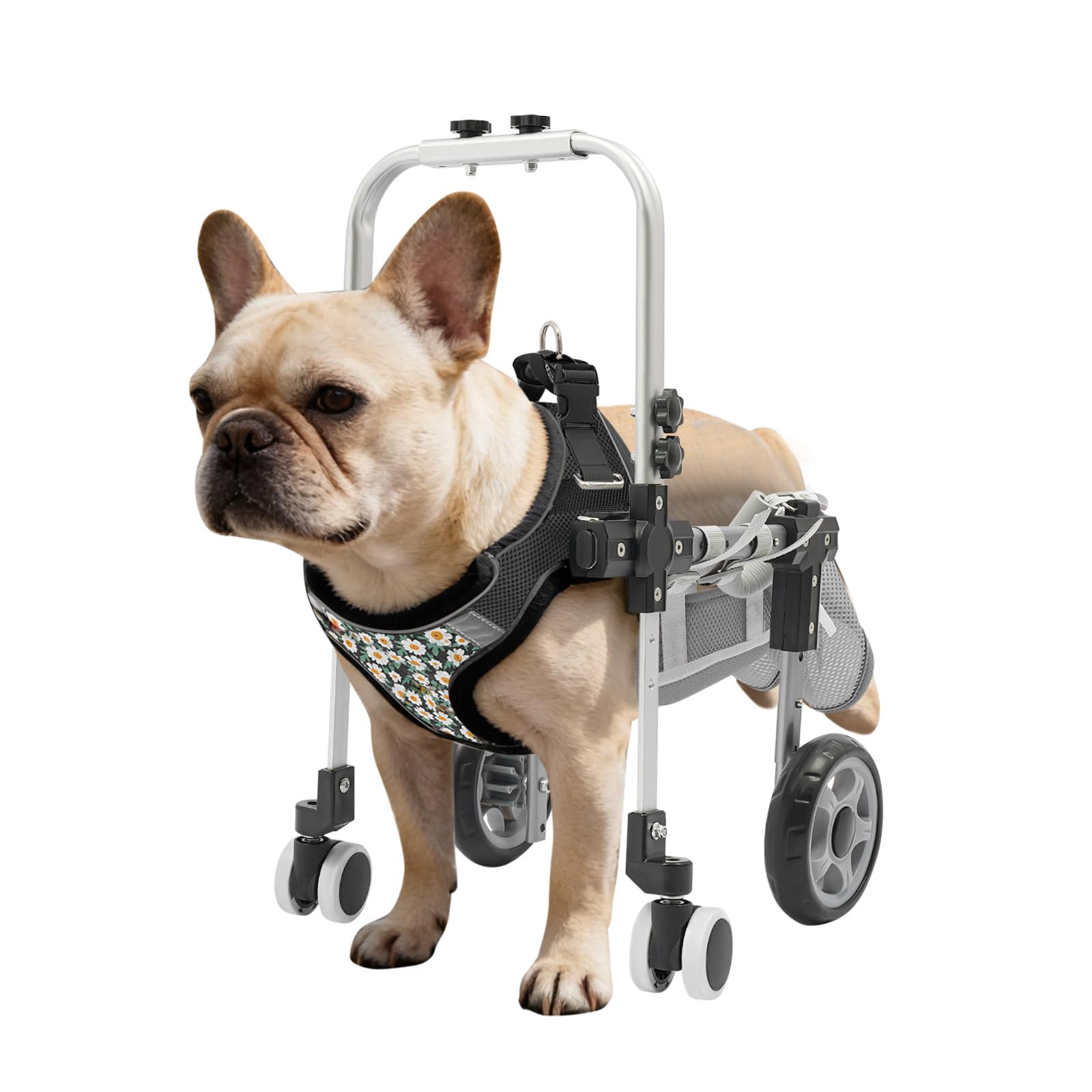 Fauteuil roulant pour chien - Pour pattes arrière - Aide à la mobilité - Harnais de mobilité - Aide à la marche pour chien - Avec 4 roues - Longueur du dos réglable - Tour de poitrine et hauteur du