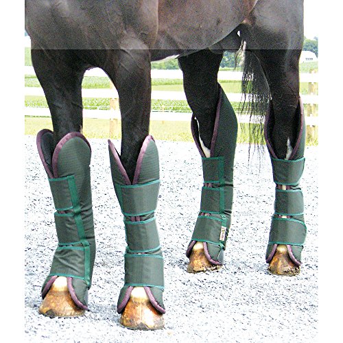Top 10 Best Shipping Boots For Horses Reviews & Buying Guide Katynel