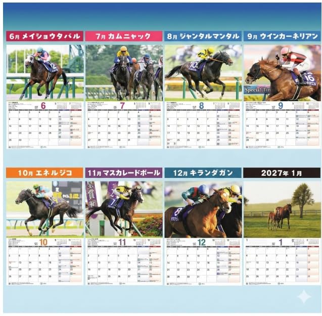 Amazon | 2026年 JRA カレンダー (令和8年版) 中央競馬全開催日程/重賞