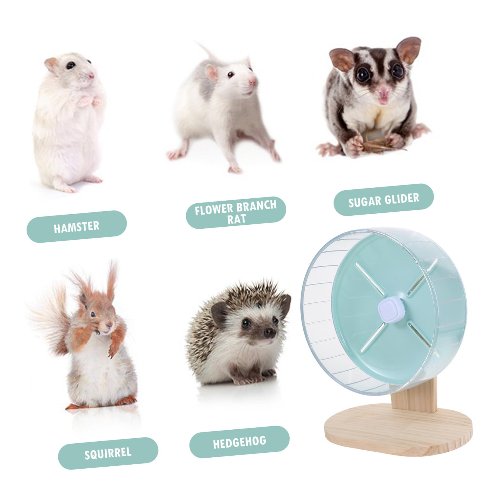 WOONEKY Roue Silencieuse pour Hamster Rat Et Chinchilla Compacte Et Décorative pour Cage Animaux De Compagnie