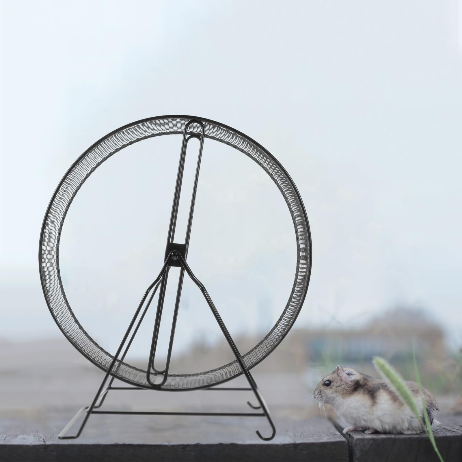 Hemobllo Hámster Hamster Running Wheel Hedgehog Estante Toya de Mascotas de Muelle de U?as de Animales Peque?os () Jaulas De Hámster