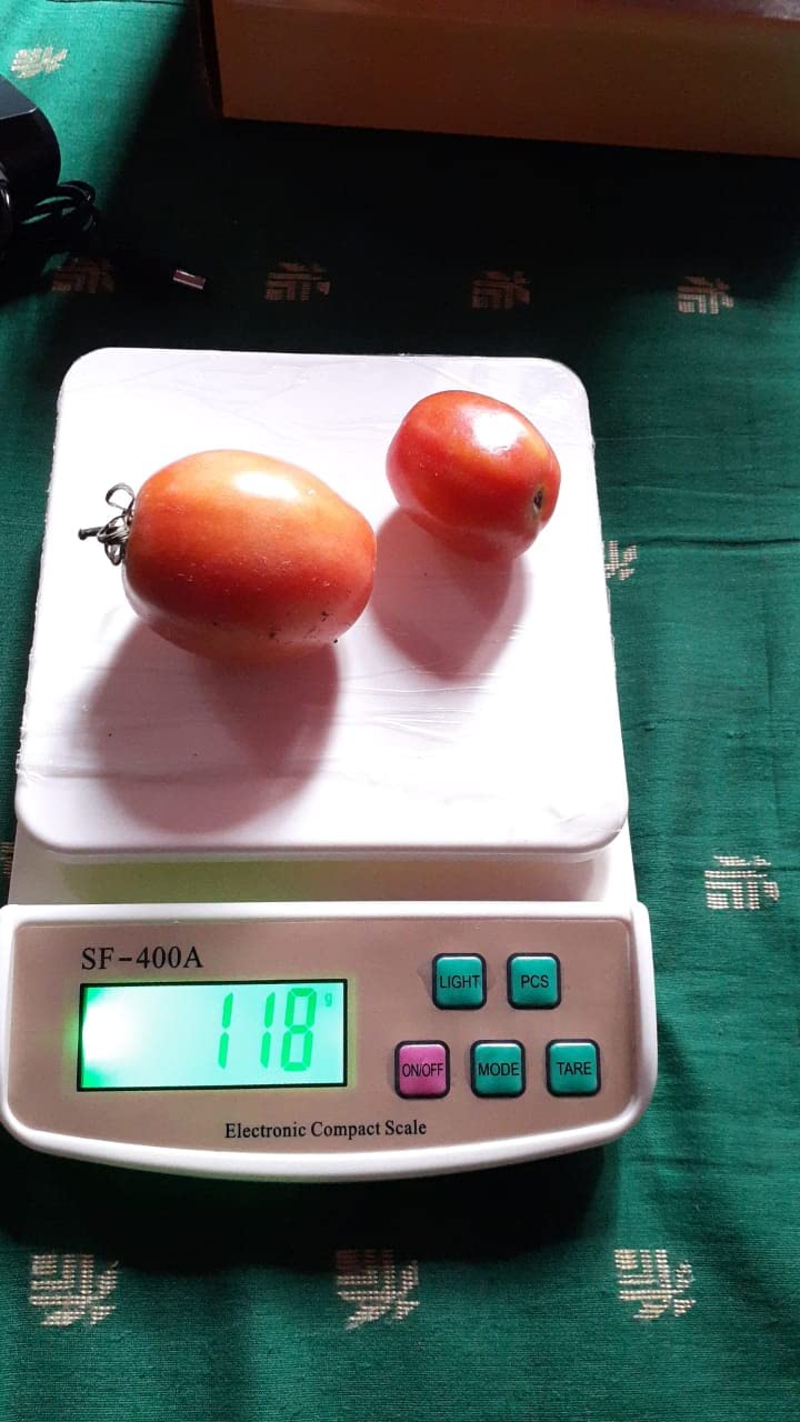 RTB Weight Machine for Shop Digital Electronic Weight Machine for