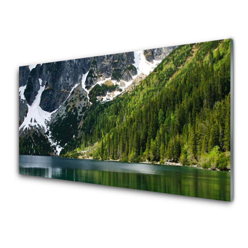 Tableau Décoration Déco Mural Moderne pour Salon : Paysage Lac et Forêt en Grand Format