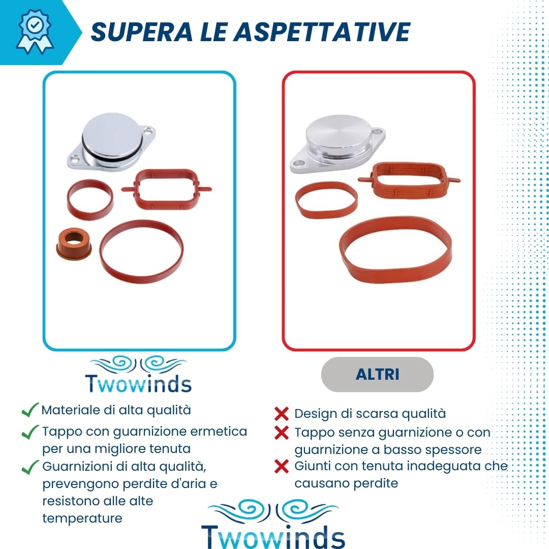 Twowinds - Kit Annullare Farfalle Collettore di Aspirazione (22 mm) Compatibile con BMW E90 E46 E39 E60 E61 E65 X3 X5 - Rimozione Swirl Flap - Eliminazione Valvole Swirl (14 guarnizioni e 4 tappi)