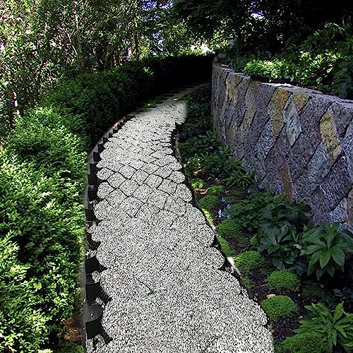 Système de pavé perméable 4x5m avec grille de stabilisation du sol - 2
