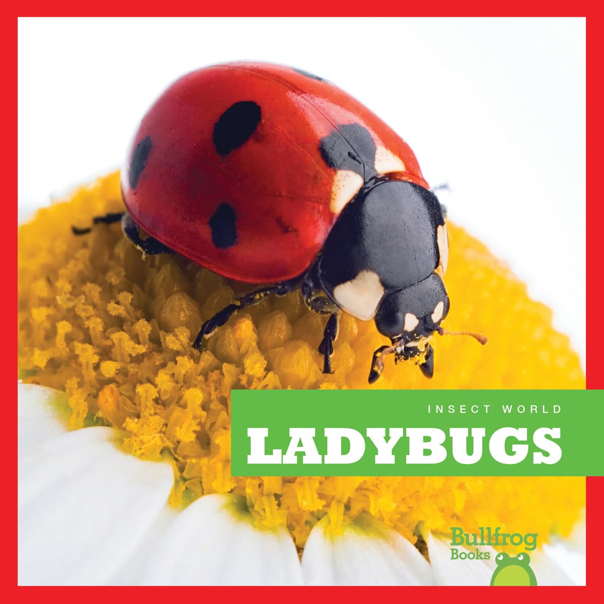 Ladybugs (Insect World) Paperback – March 1, 2016