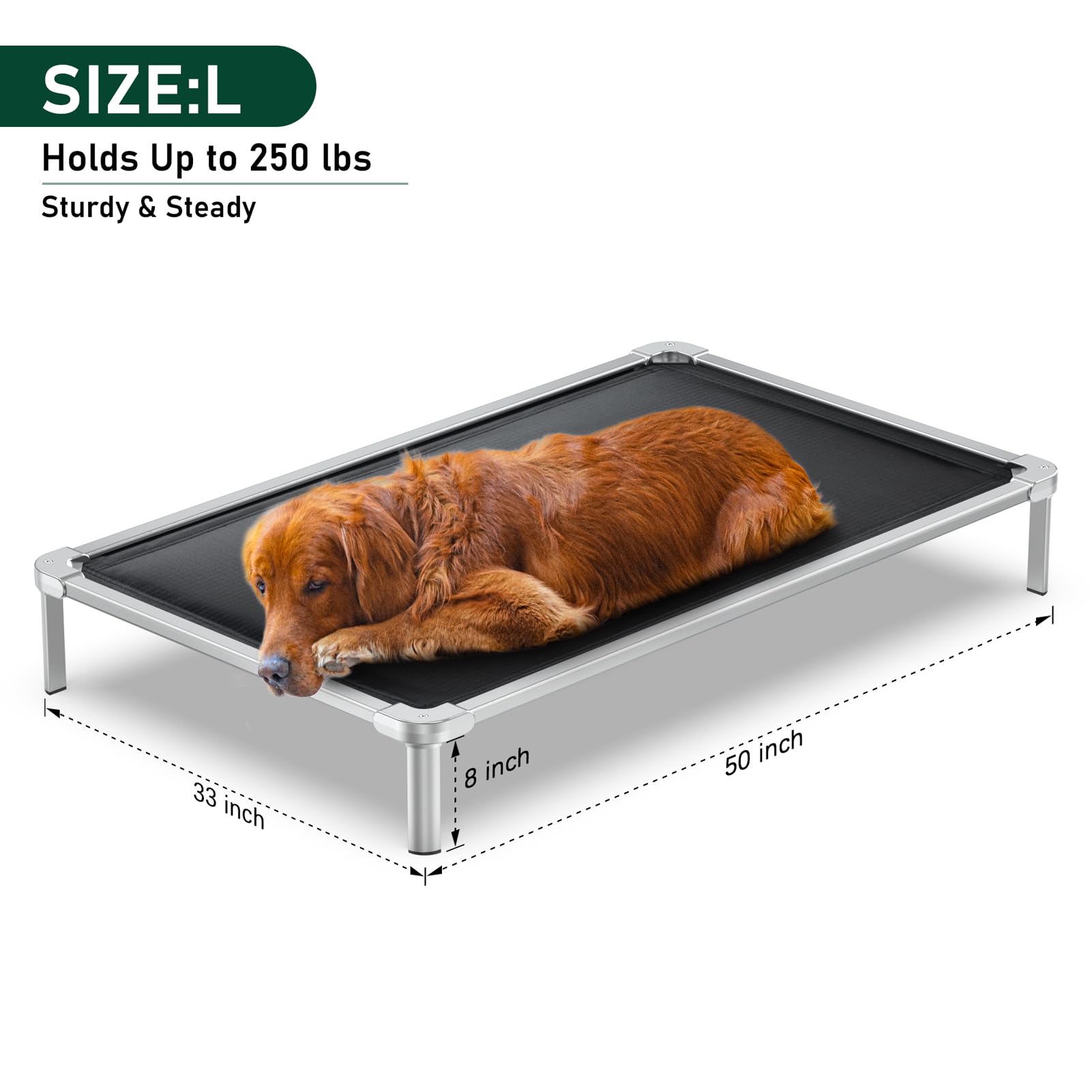 Senneny Chew Proof Elevated Dog Bed Large Sized Dog, Raised Cot for Indoor Outdoor Camping, Heavy-Duty Chew Resistant Hidden Fabric Indestructible Dog Bed, L, 50" L x 33" W x 8" H - image 6