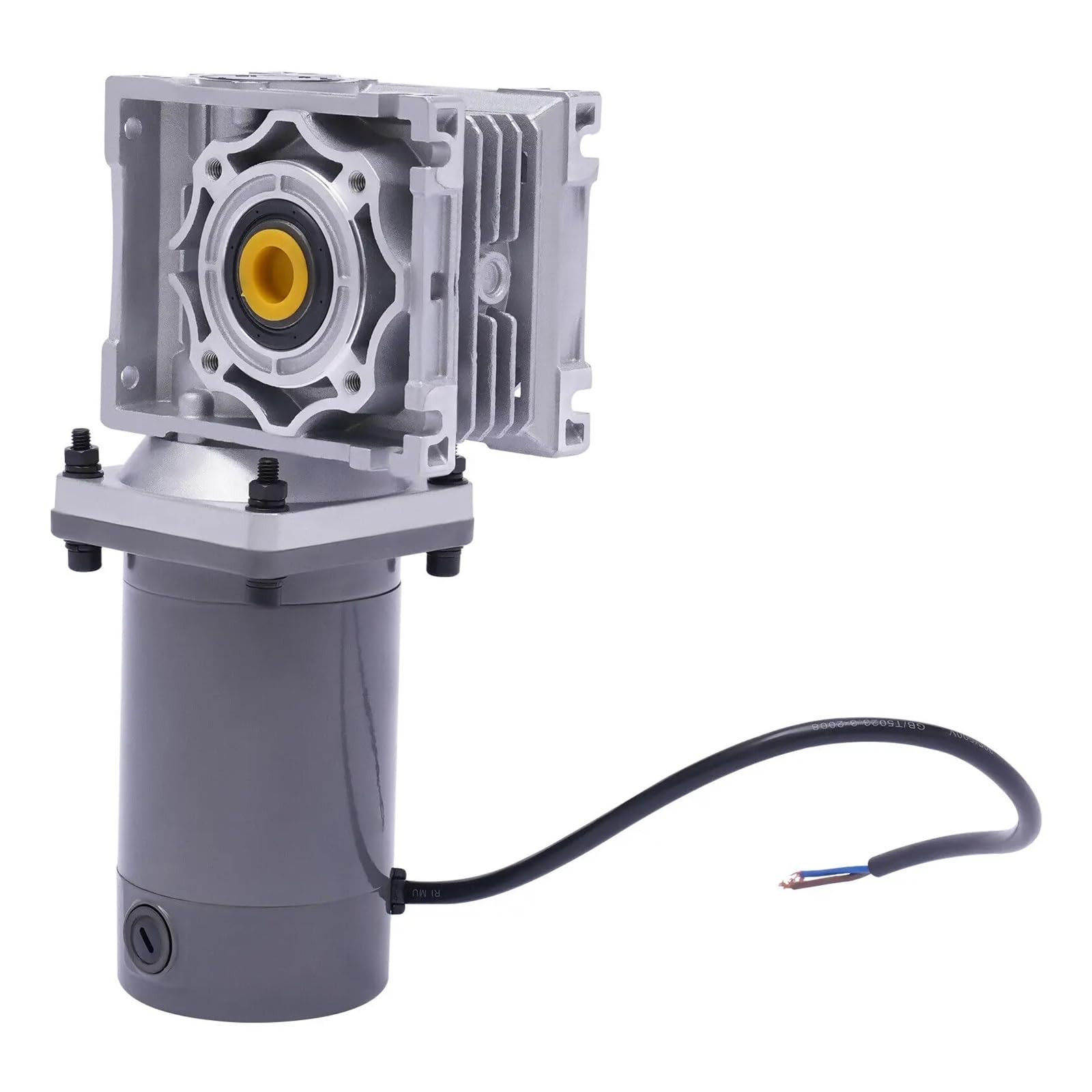Riduttore di velocità a vite senza fine con riduttore CC da 120 W, motore elettrico for camper ad alta coppia, 12 V, 1800 giri/min Trasmissione fluida