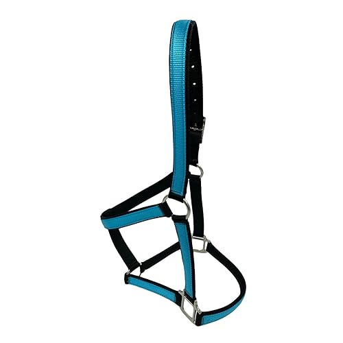 All Sizes Horse Halter, Foal to Draft Size 3 Ply Alabama Handmade (Draft, Blue)