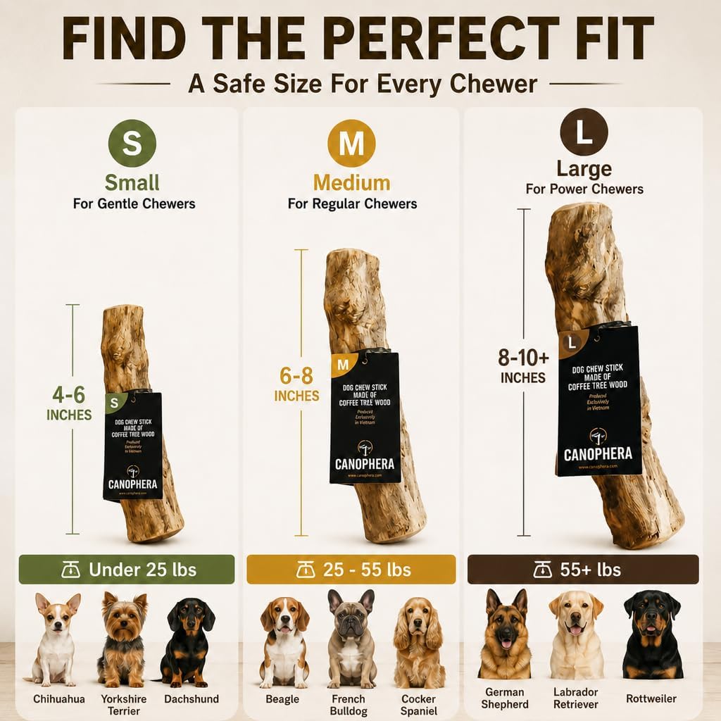 Canophera Coffee Wood Dog chew Sticks for Regular chewers - Size Medium