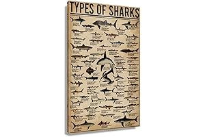 Stunning Wooden Shark Decor: Captivating Ocean Ambiance for Your Abode