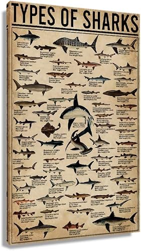 Arte de pared con diseño de tiburón, impresiones enmarcadas, póster de conocimiento para pared, decoración del hogar, animales, lienzo, póster de